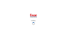 Tablet Screenshot of essaedig.com